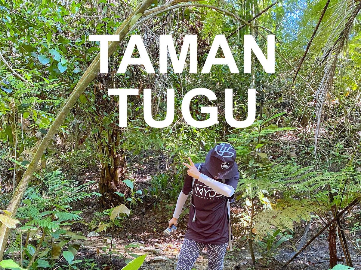 Easy Trek At Taman Tugu Trail Kuala Lumpur | VIDEO